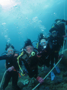 沖縄　ダイビング　近海　体験