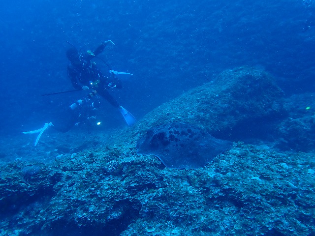 沖縄　ダイビング　トライアングル　自社船