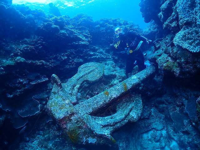 沖縄　ダイビング　慶良間　砂辺　ウミガメ