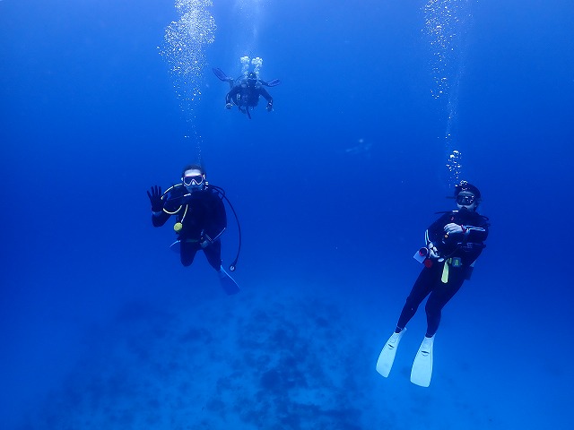 沖縄　ダイビング　慶良間　砂辺　ウミガメ