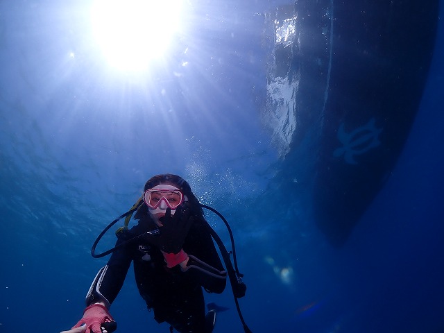 沖縄　ダイビング　慶良間体験ダイビング　ウミガメ　
