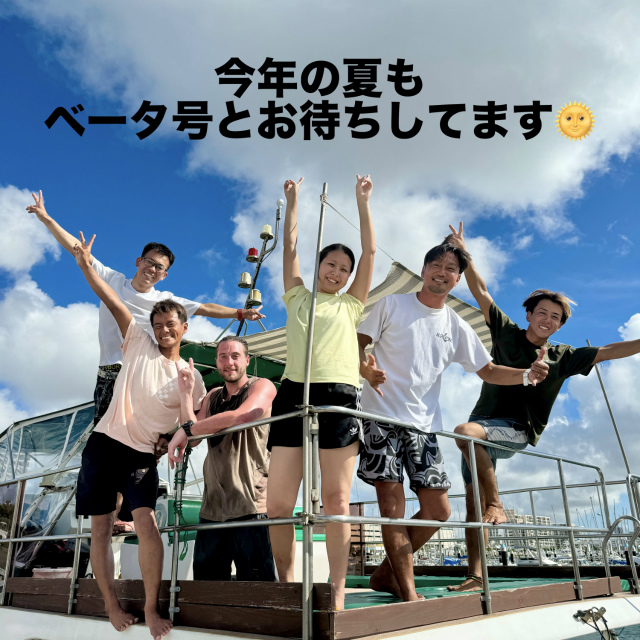 ウミガメ　慶良間　体験ダイビング　沖縄　アルファダイブ